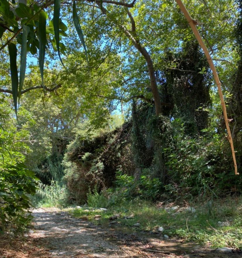 דירות Ágios Nikólaos Artemis House מראה חיצוני תמונה